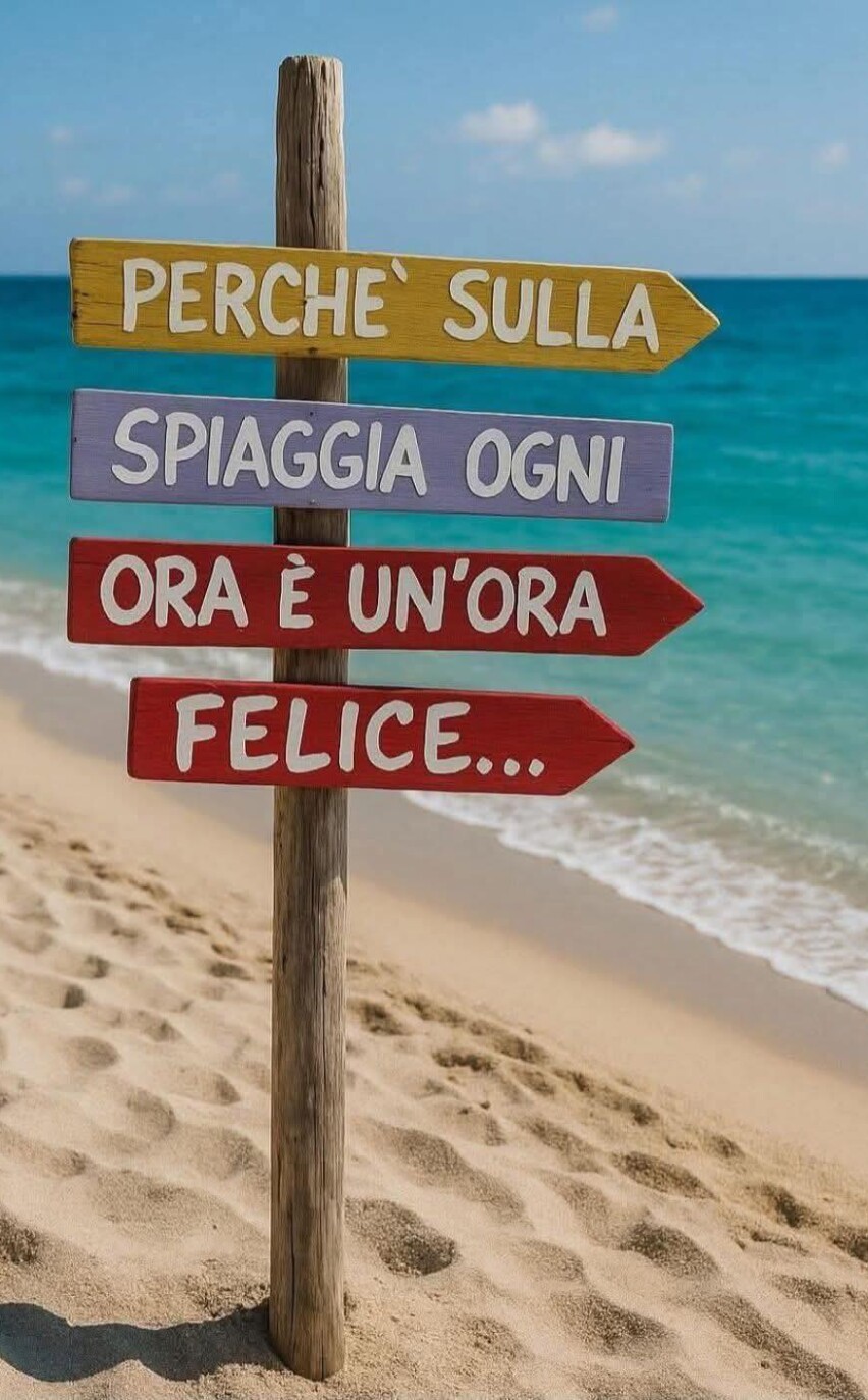 525233072 1312277724231016 9159085491808447454 n